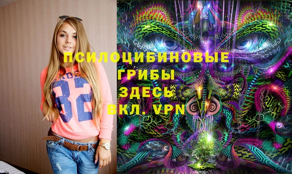 Альфа ПВП Пересвет