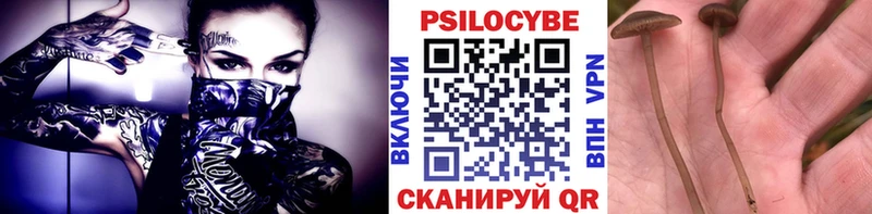 Псилоцибиновые грибы Psilocybe  Добрянка 